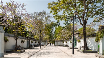 The Central Gate with an avenue lined with <em>Bauhinia variegata</em> leads the visitors from the Main Plaza to explore the Chinese gardens within.